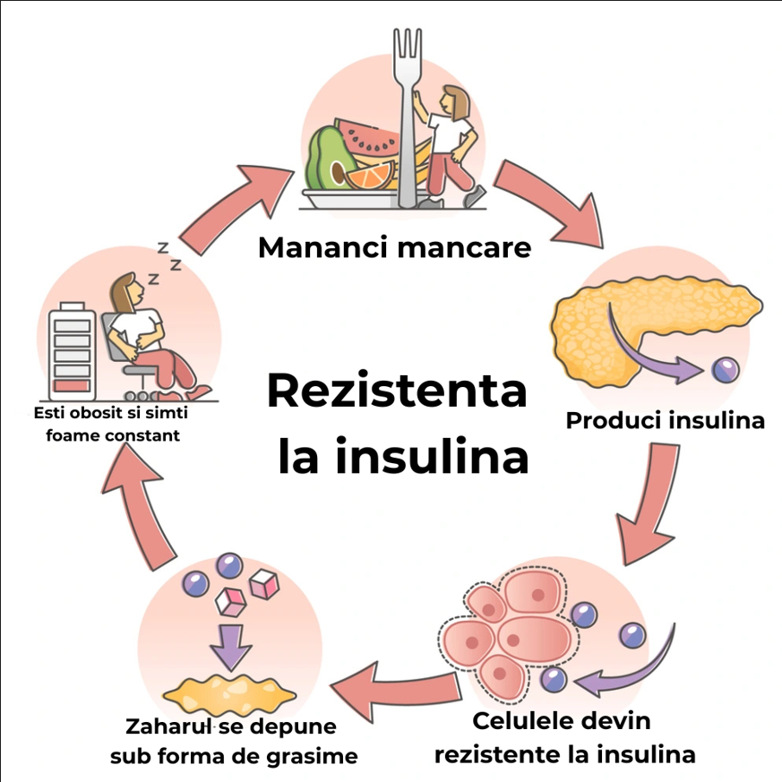 Rezistenta la insulina